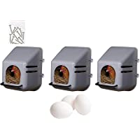 Pack 3 Ponederos para Gallinas + 3 Huevos Macizos. Ponedero de Pared 3 Huecos. Con Tornillos Incluidos. Nidos para…